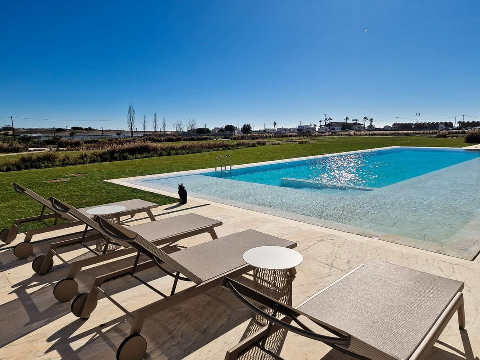 Natural landscape, Pool view, Swimming pool, sunbed