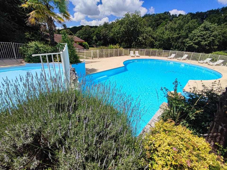 Property building, Living room, Swimming pool