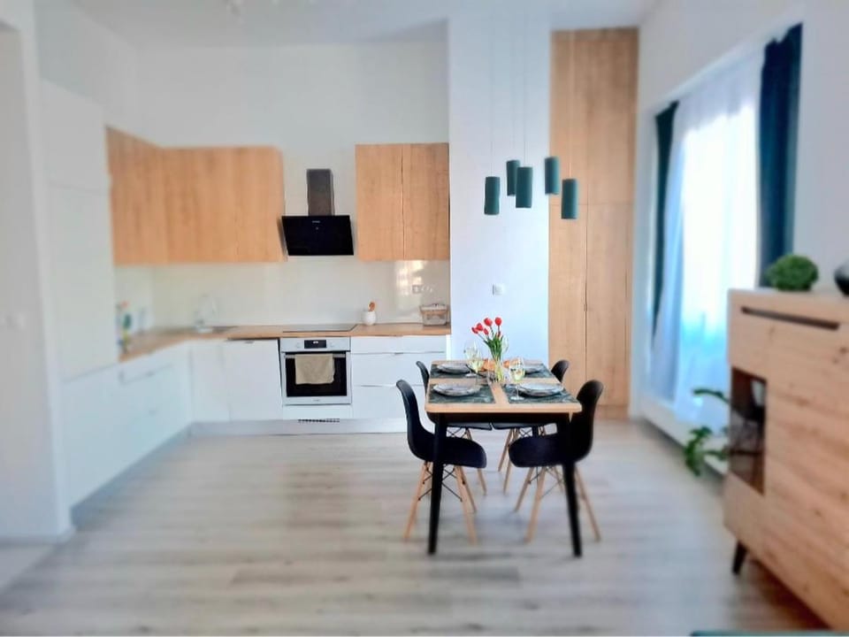 Kitchen or kitchenette, Dining area, stove
