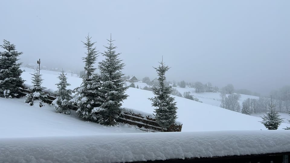 Natural landscape, Winter