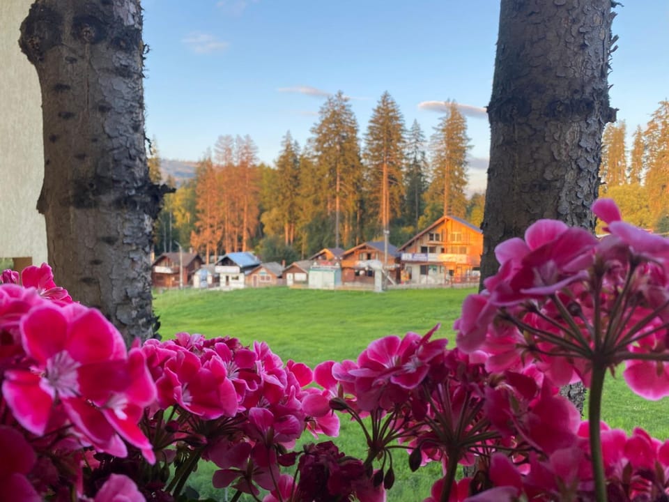 Nearby landmark, Day, Natural landscape, View (from property/room), Landmark view, Landmark view, Mountain view, Mountain view