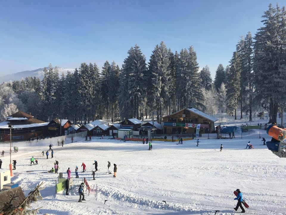 Day, People, Bird's eye view, Winter, Skiing, View (from property/room), Landmark view, Mountain view, group of guests