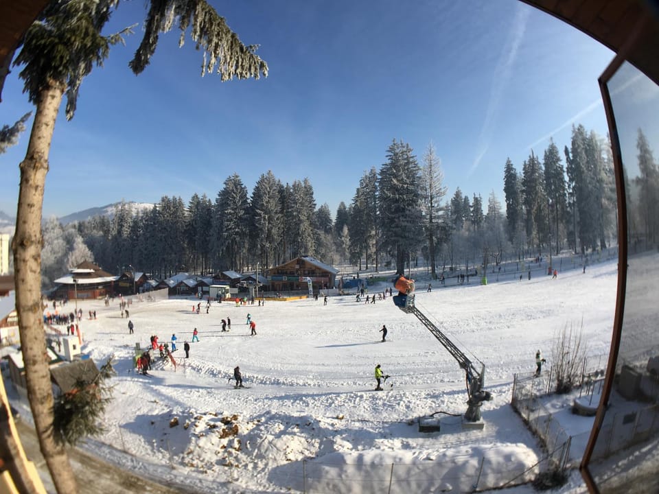 Day, People, Natural landscape, Winter, Skiing, group of guests