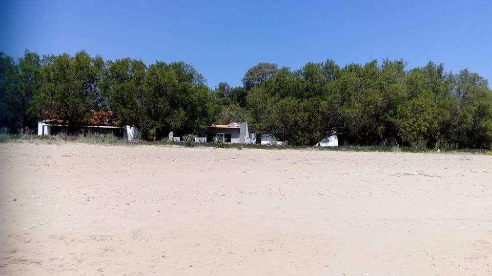 Sea melodies apartment 2 House in Messenia