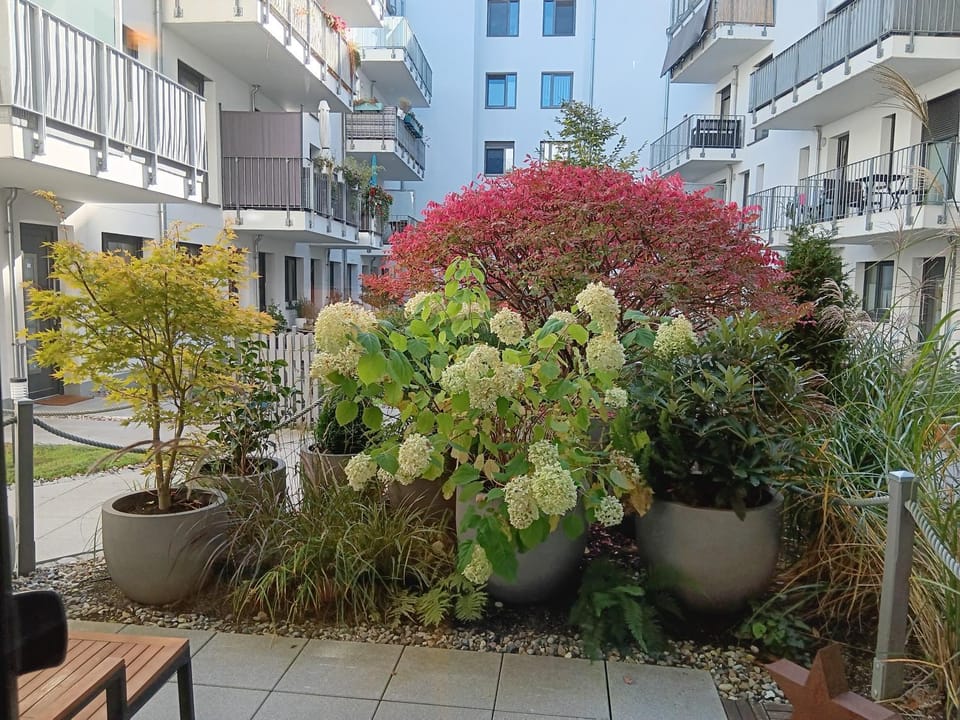 View (from property/room), Balcony/Terrace, Autumn, Garden view