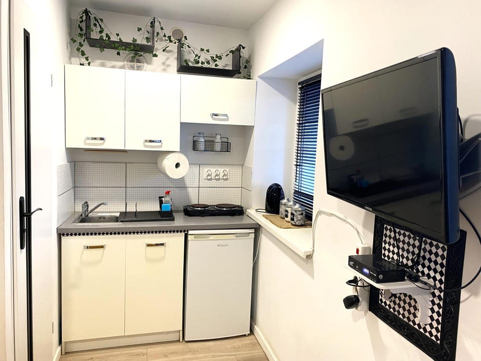 Lemuria Studio Łokietka Apartment in Lower Silesian Voivodeship