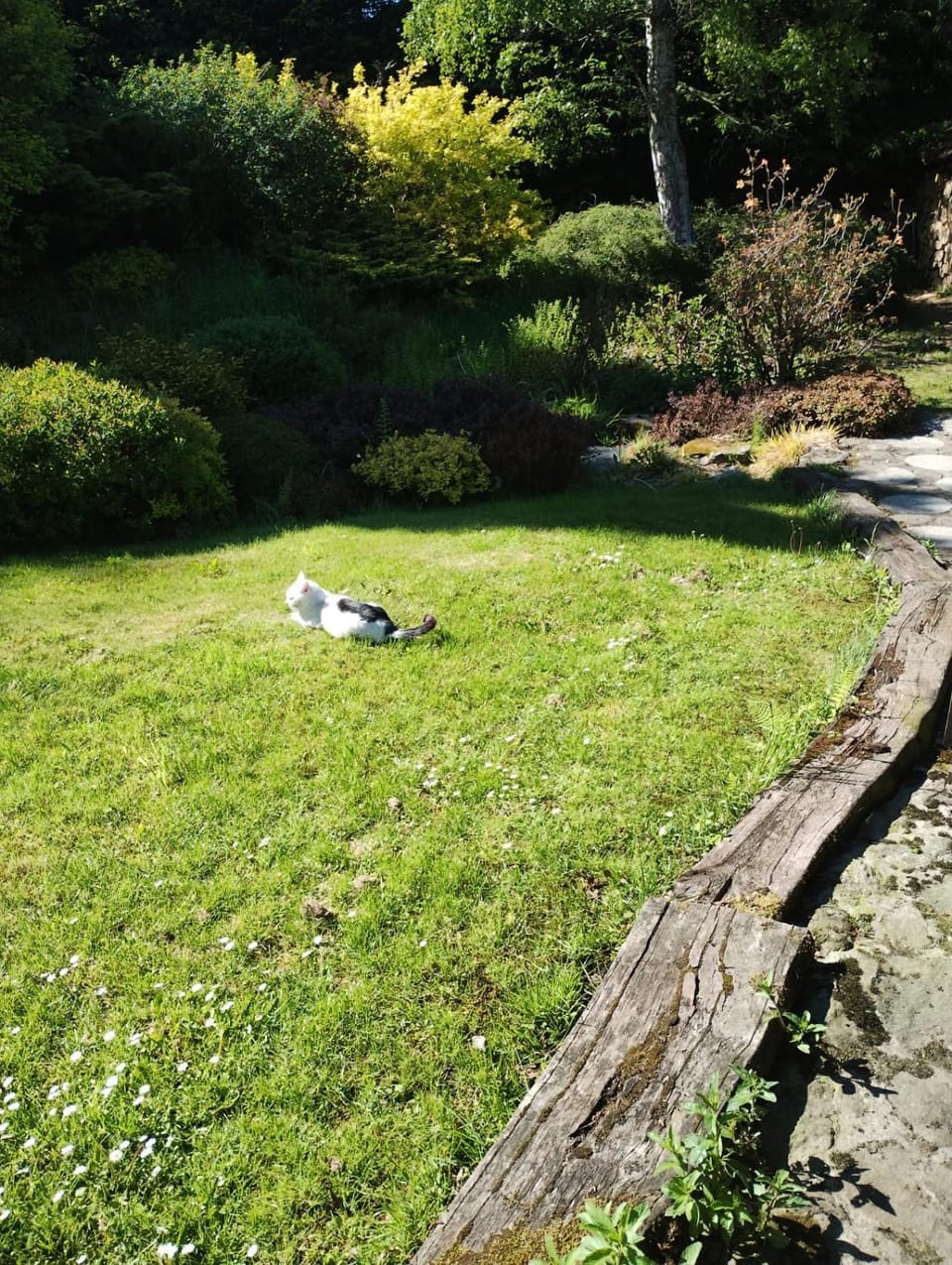 Natural landscape, Garden