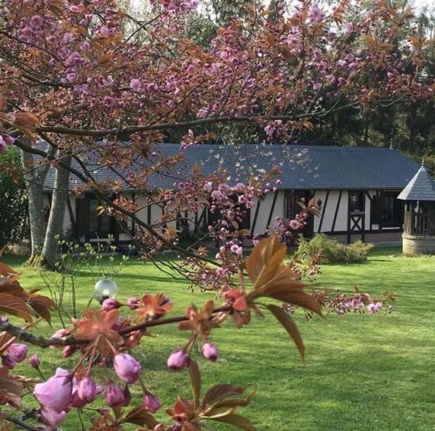 Il Était Autrefois Bed and Breakfast in Normandy