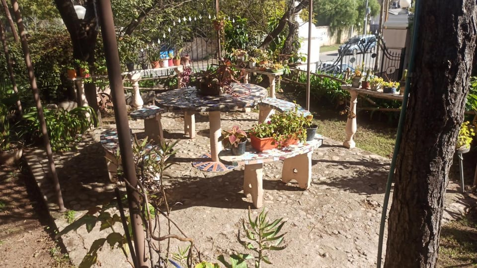 Garden view