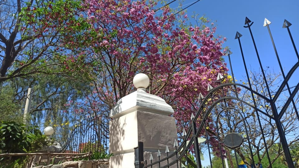 Spring