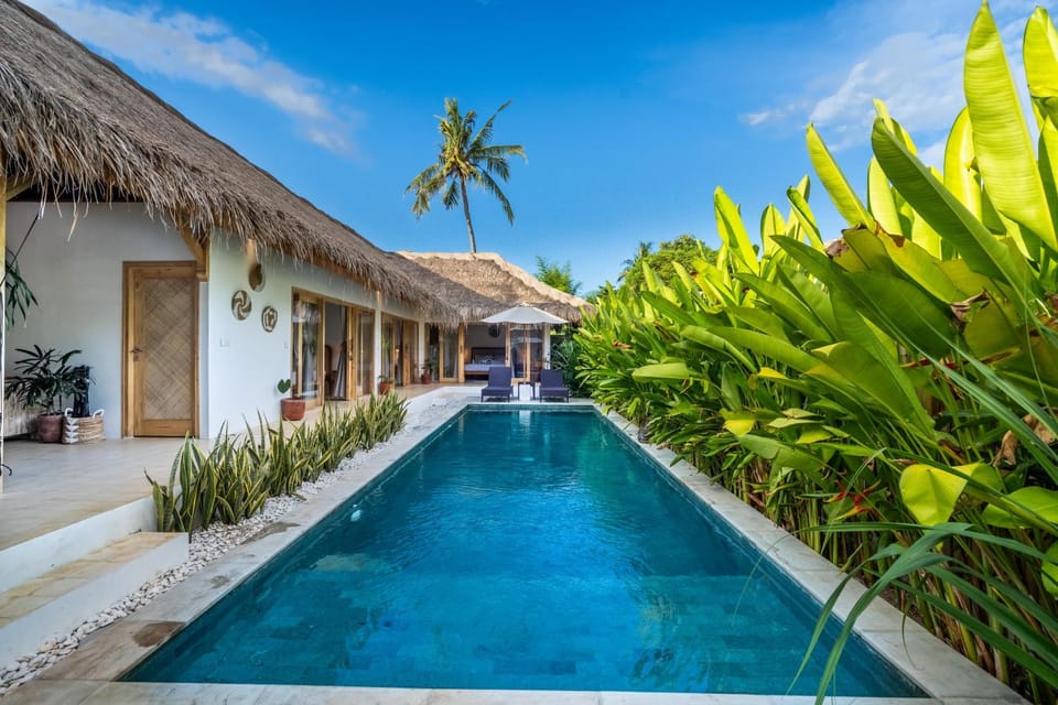 Property building, Garden view, Swimming pool, sunbed
