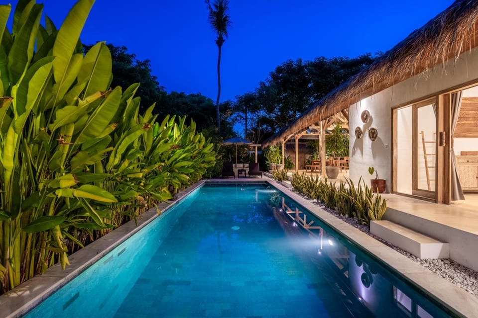 Night, Garden, Garden view, Swimming pool