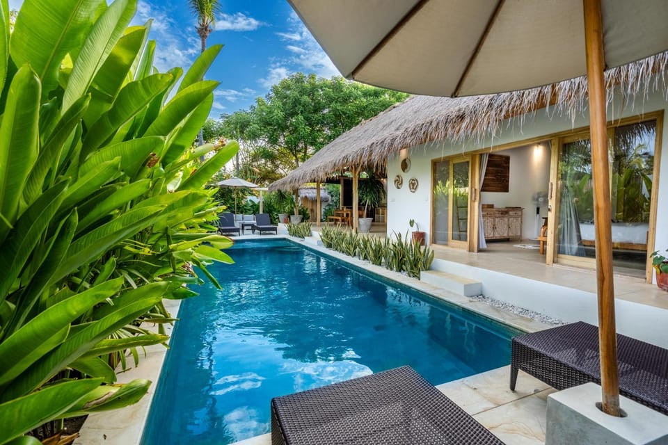 Day, Garden, Garden view, Swimming pool