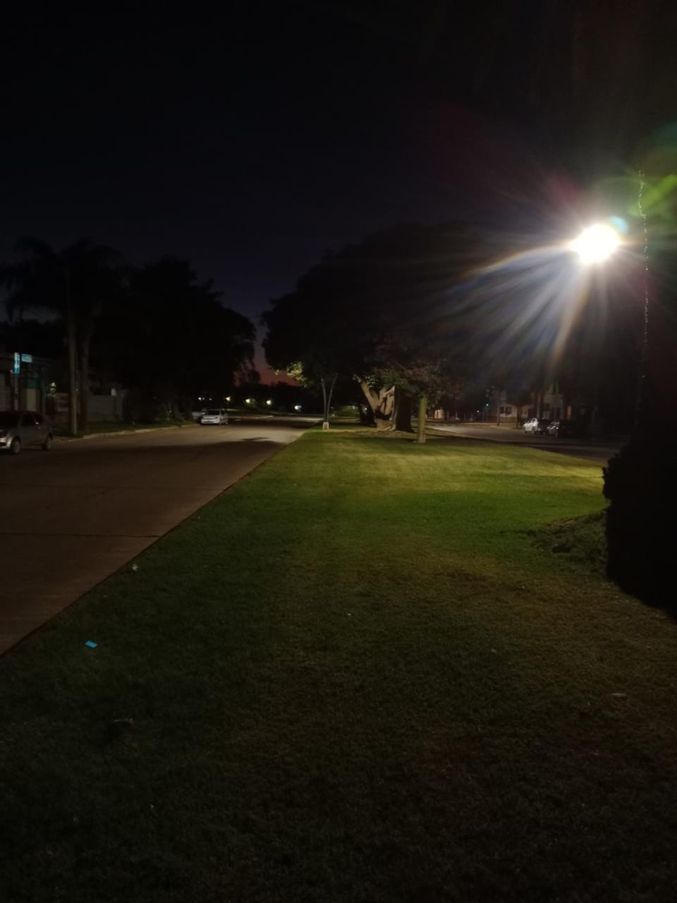 Night