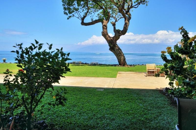 Kahana Reef #116 Apartment in Kahana