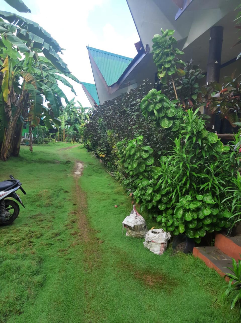 ORALIZA RESIDENCE HOUSE RENTAL Apartment in General Luna