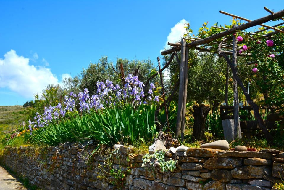 Spring, Garden, Garden view, Landmark view