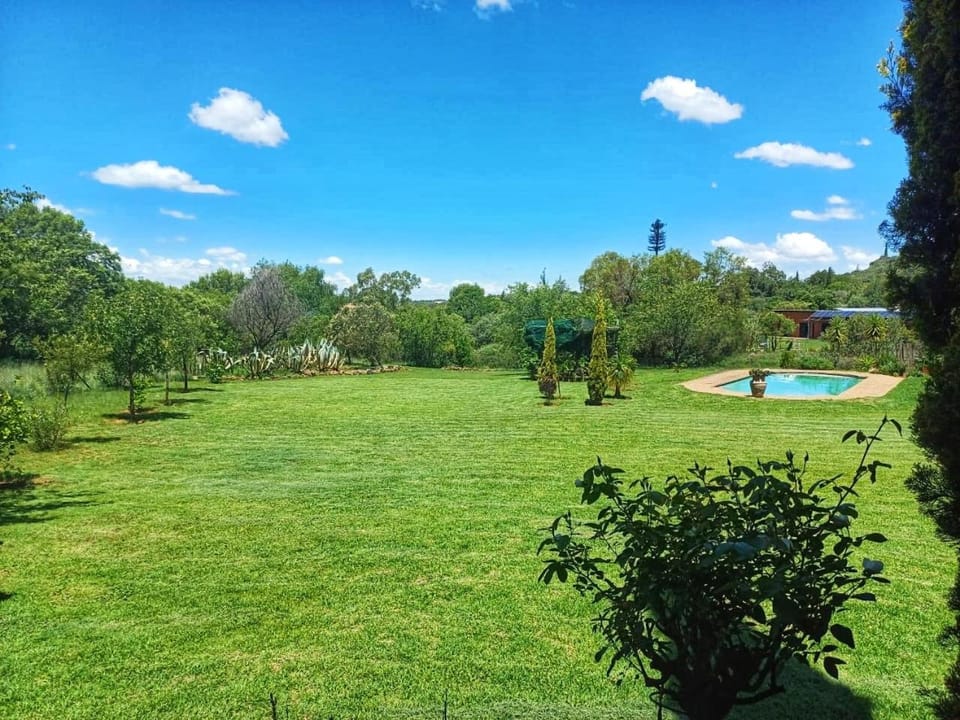 Garden, Swimming pool