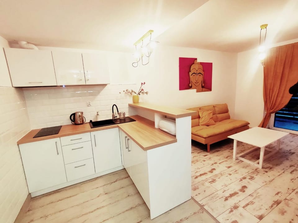 Coffee/tea facilities, Kitchen or kitchenette, Seating area, Dining area, stove