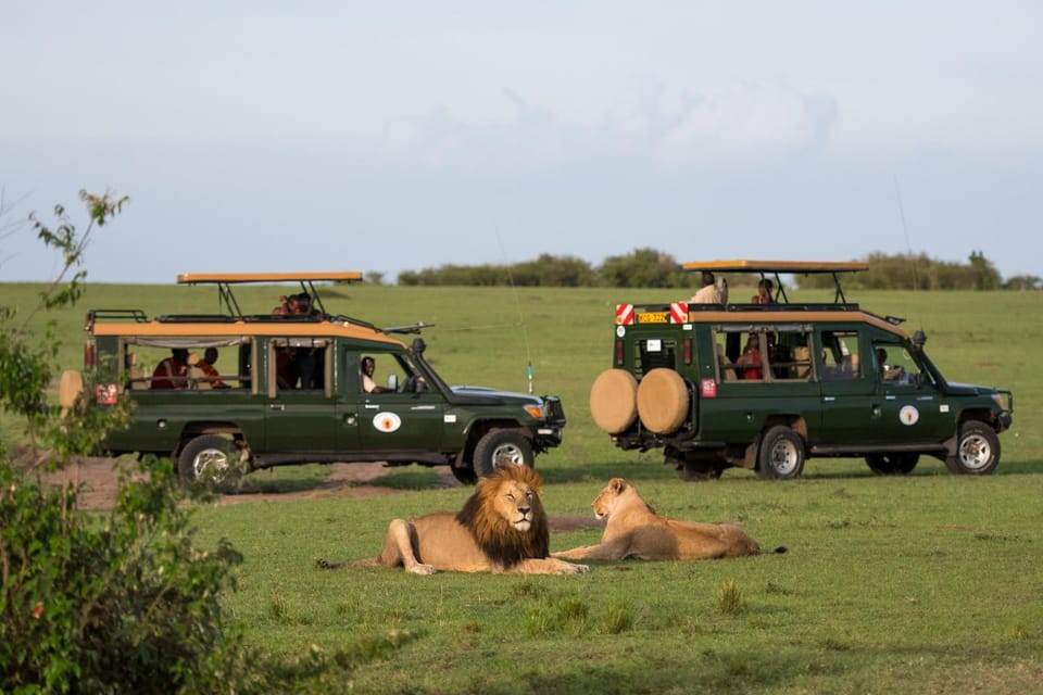 Natural landscape, Activities, Animals