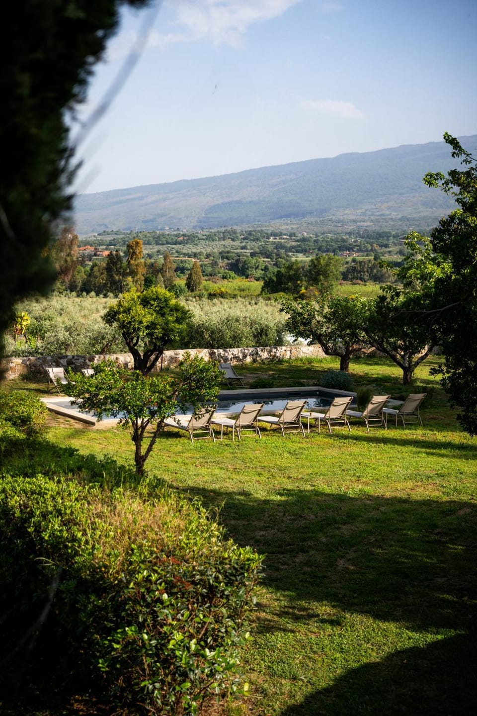Natural landscape, Garden, Mountain view