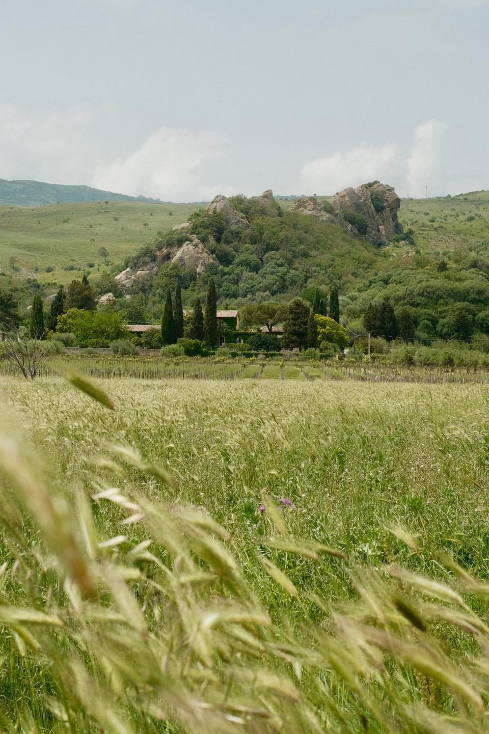 Natural landscape