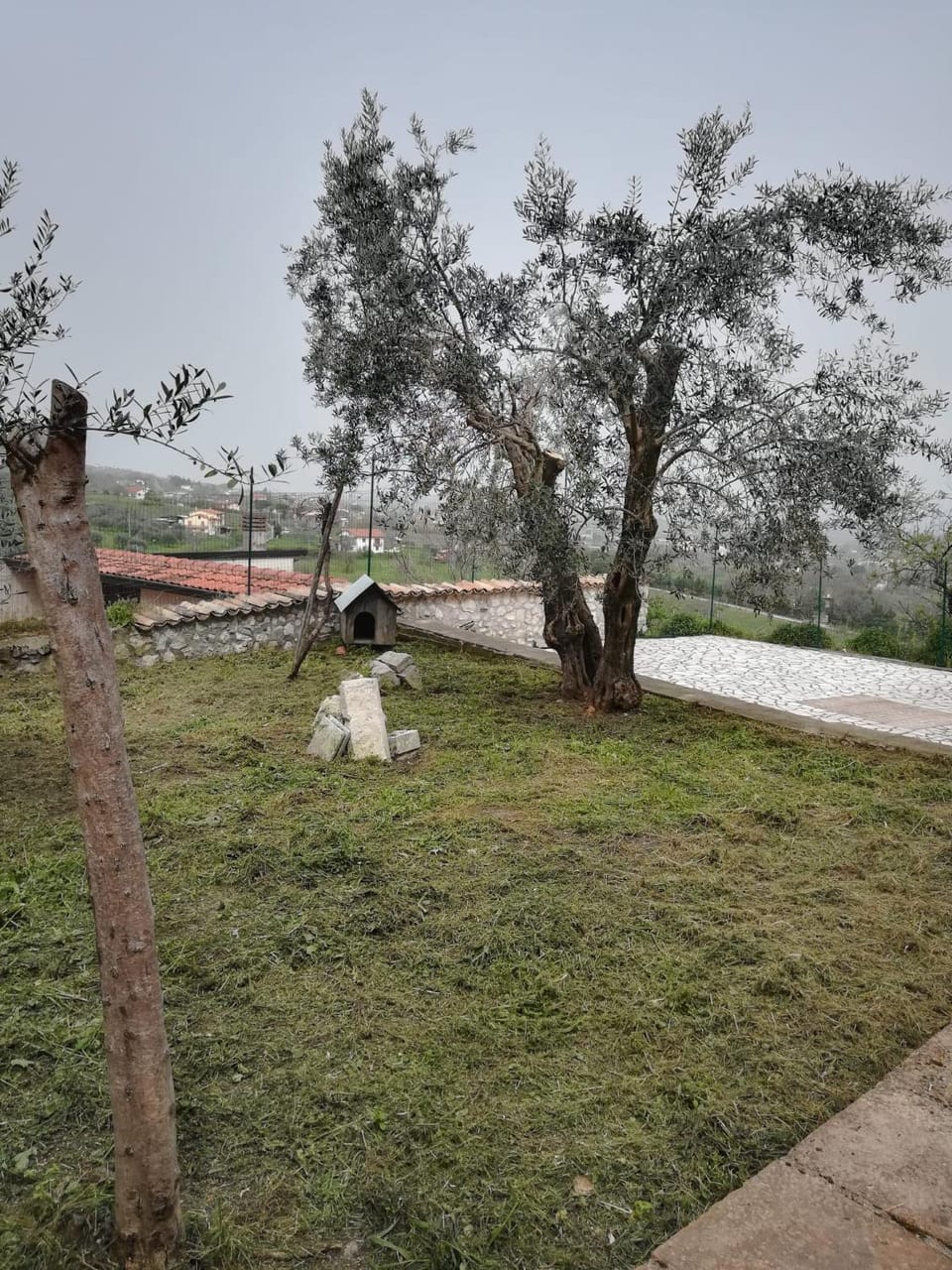 Garden, Garden view