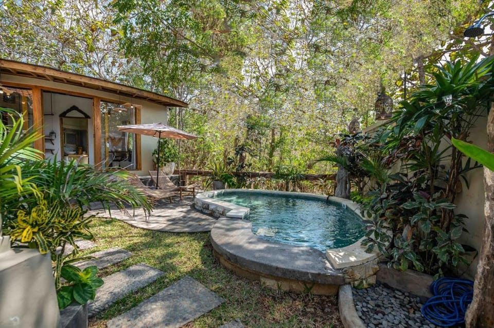 Villa Capung Padang Padang Villa in Bali