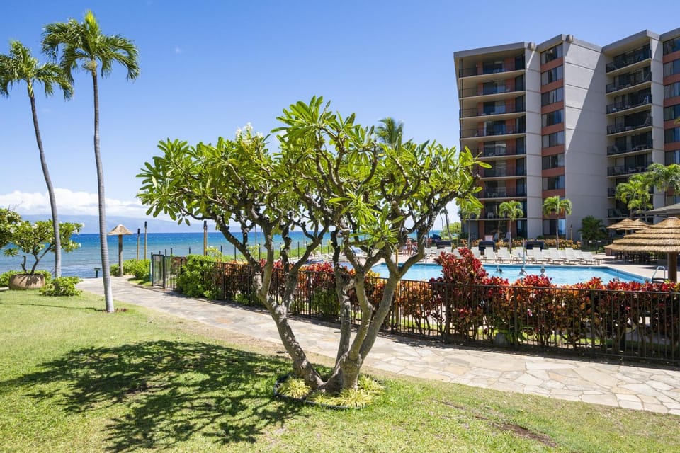 Kaanapali Shores 159 Apartment in Kaanapali