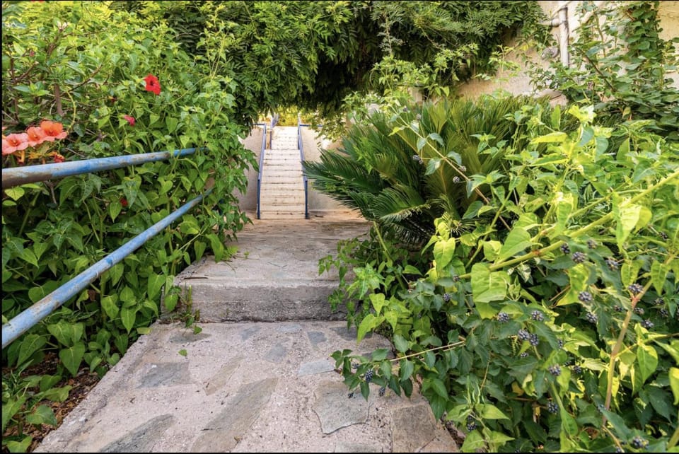 Garden, Garden view