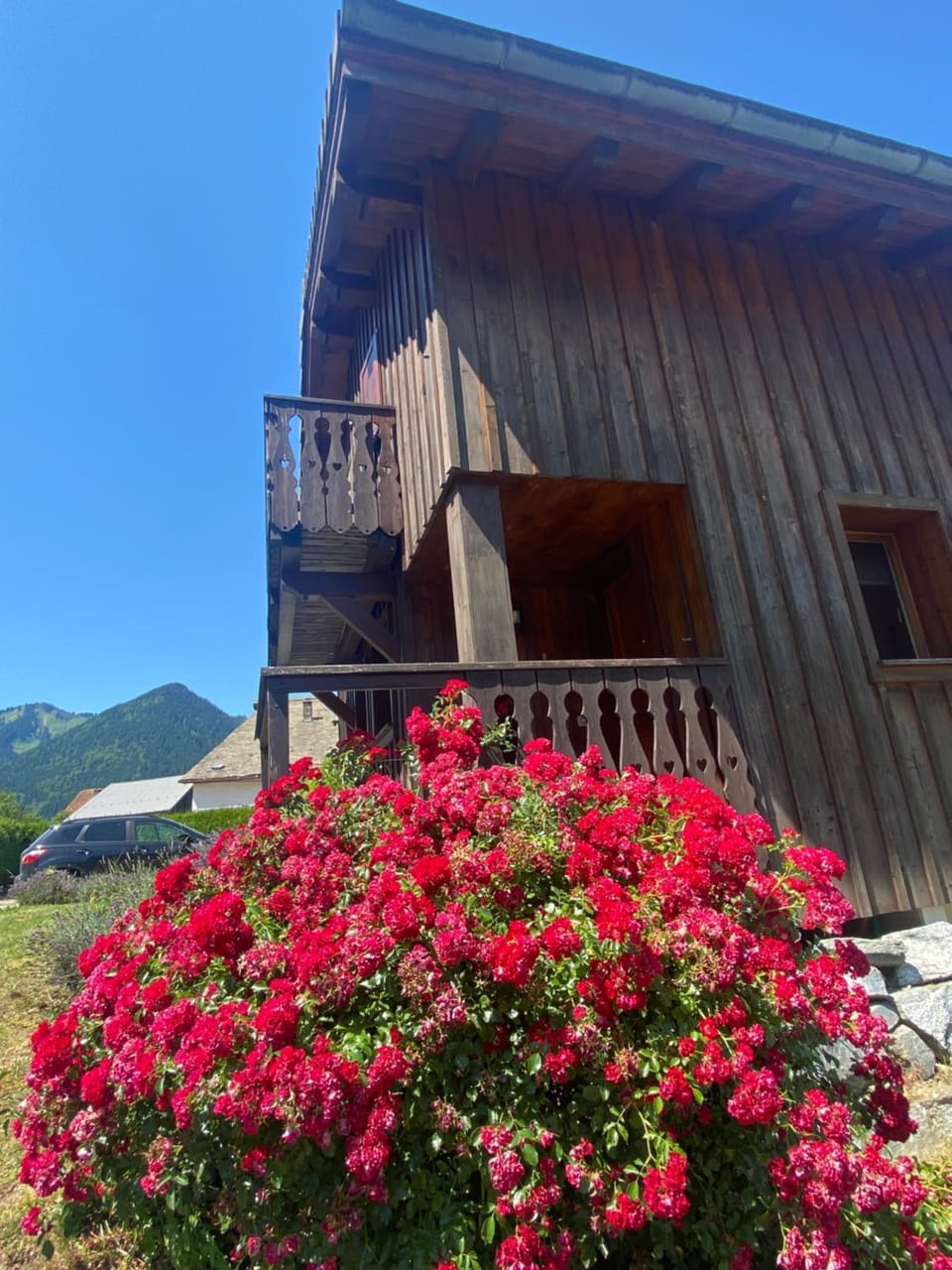 Day, Garden, Mountain view