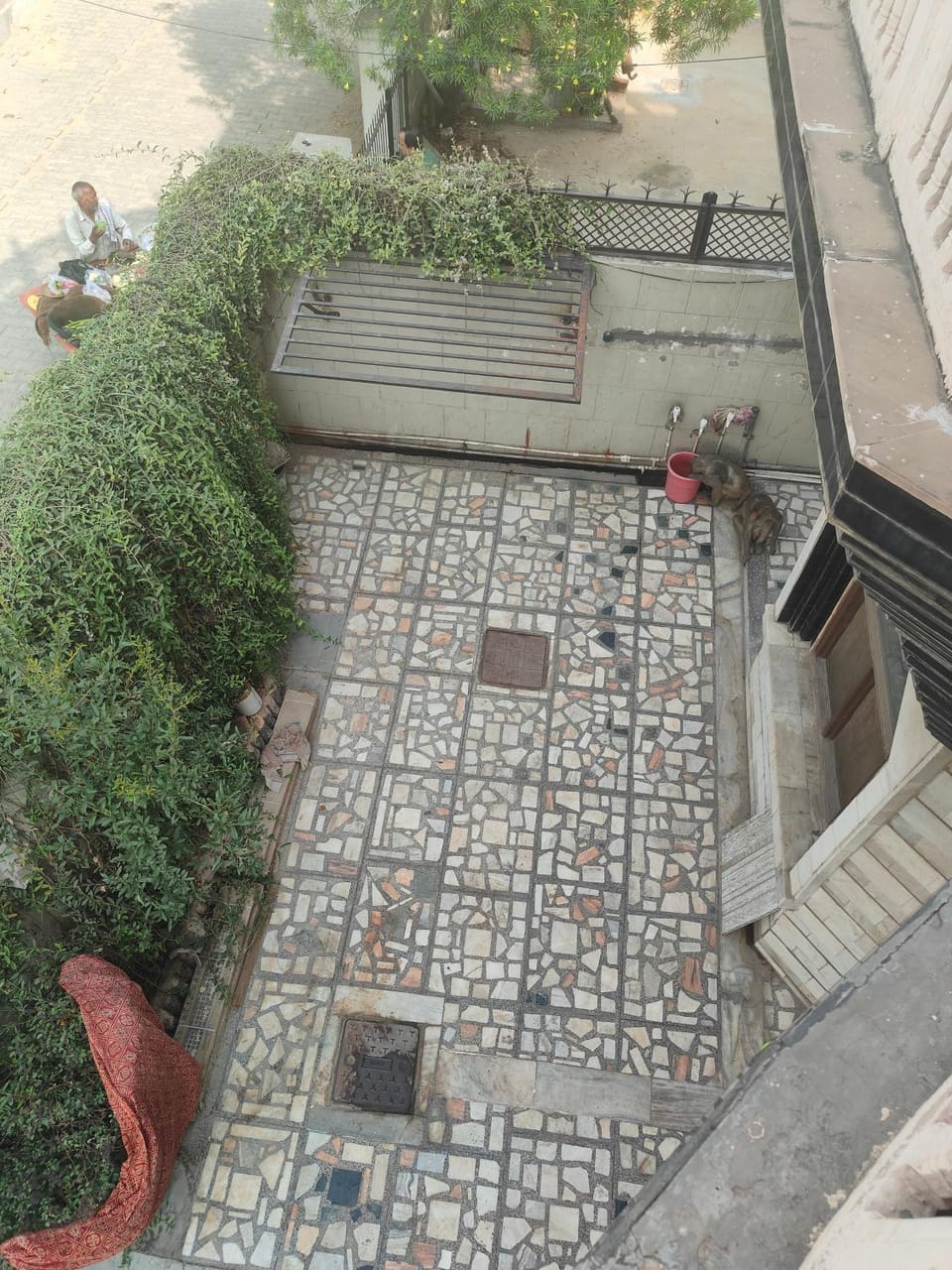 View (from property/room)