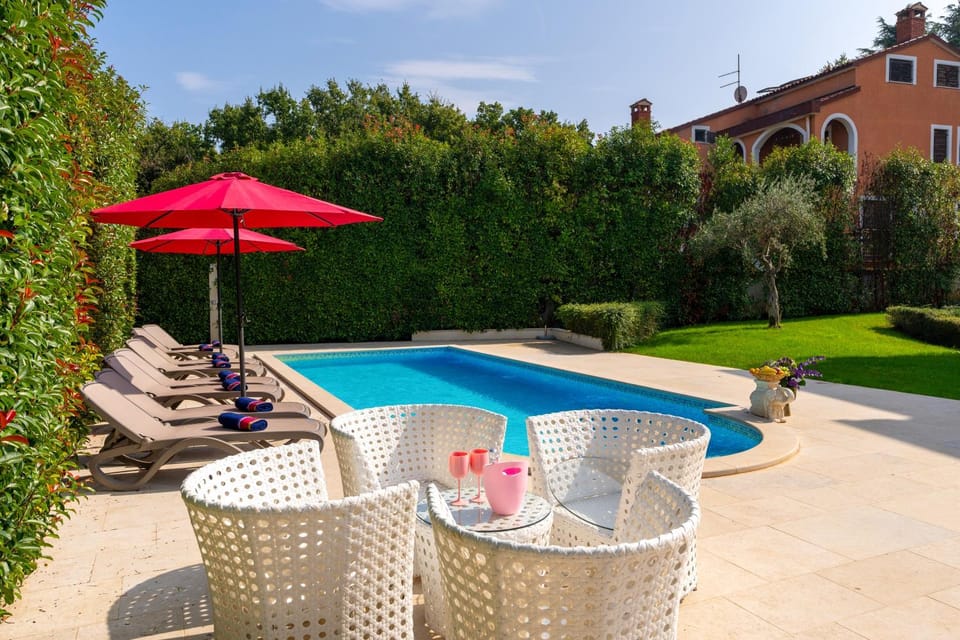 Garden, Garden view, Pool view, Swimming pool, sunbed