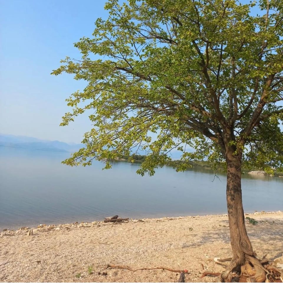 Leon & Ema Bed and Breakfast in Montenegro