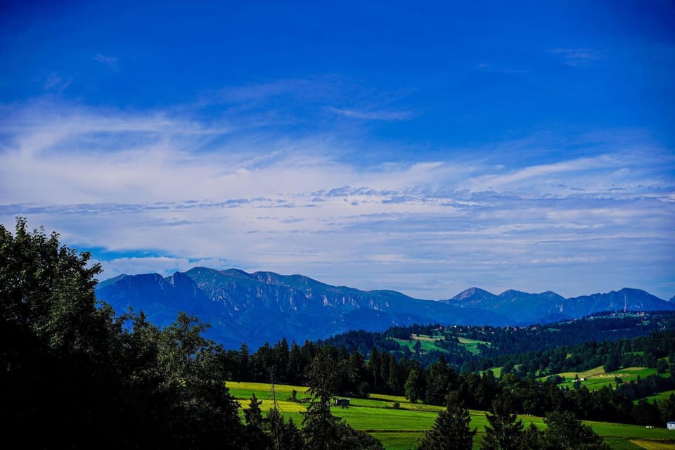 Mountain view