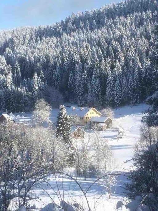 Natural landscape, Winter, Mountain view