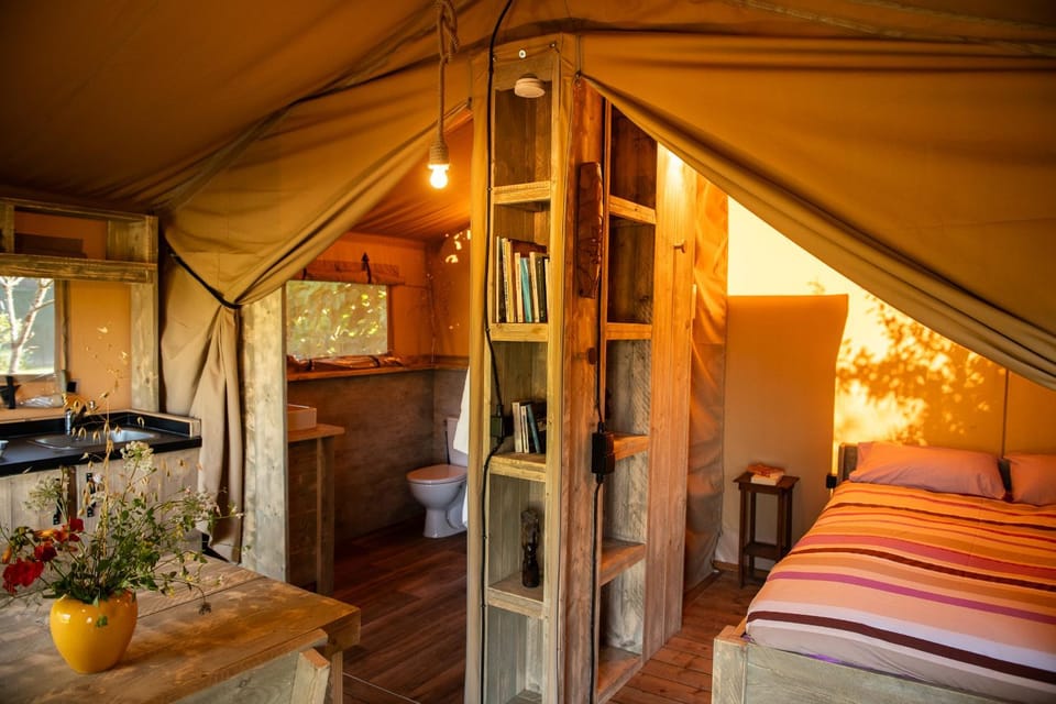 Bed, Bathroom, Kitchen or kitchenette, Bedroom, minibar