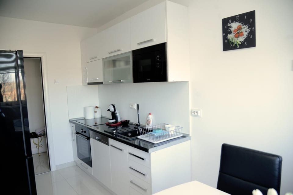Irina Lux Apartment Apartment in Serbia