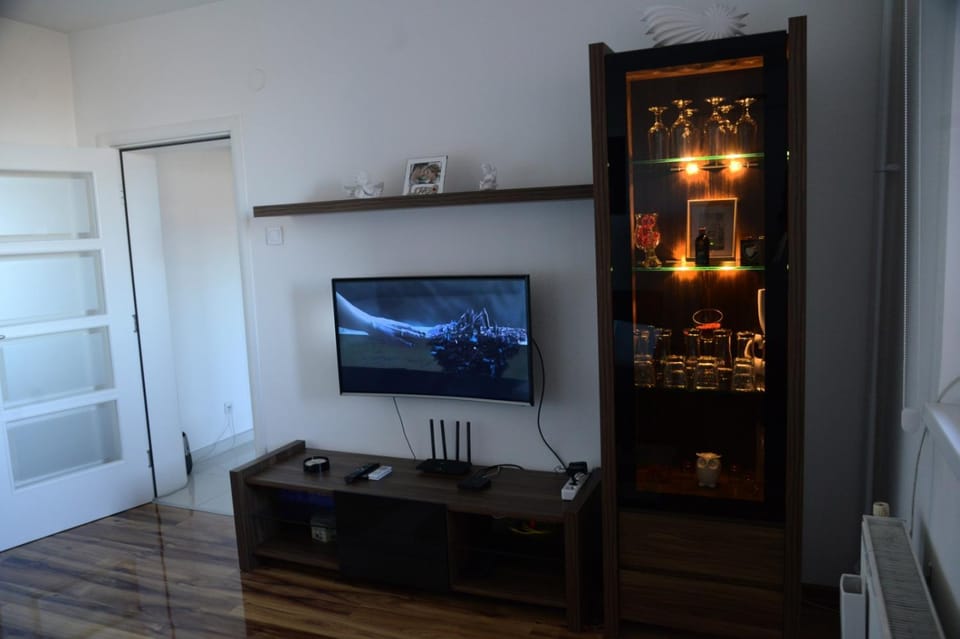 Irina Lux Apartment Apartment in Serbia