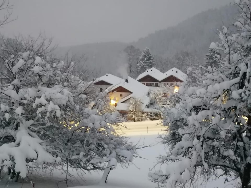 Natural landscape, Winter, Mountain view
