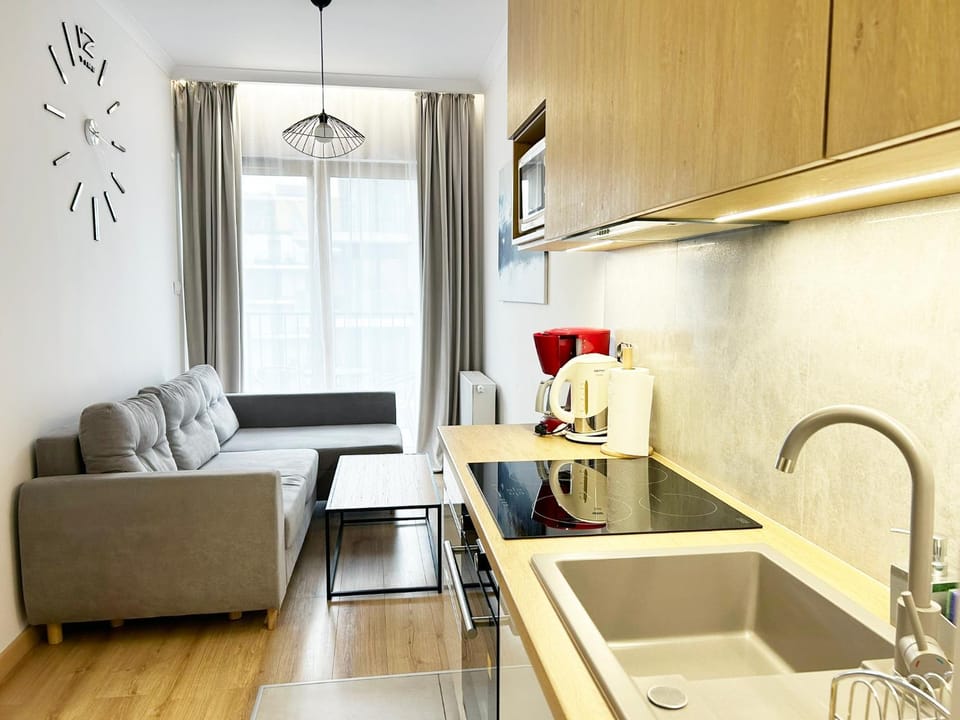 Deluxe residence apartment Apartment in Krakow