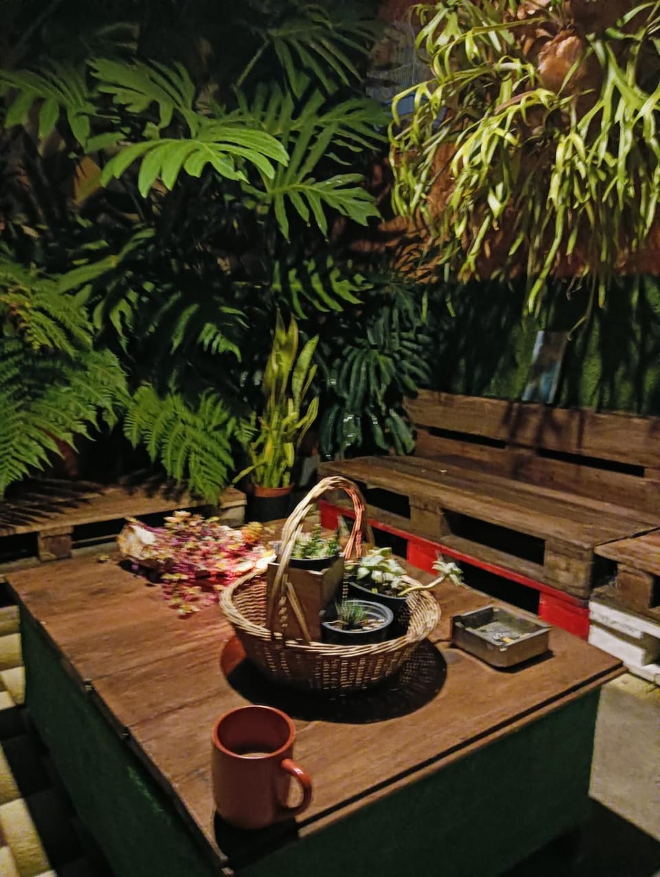 Night, Garden, Garden view