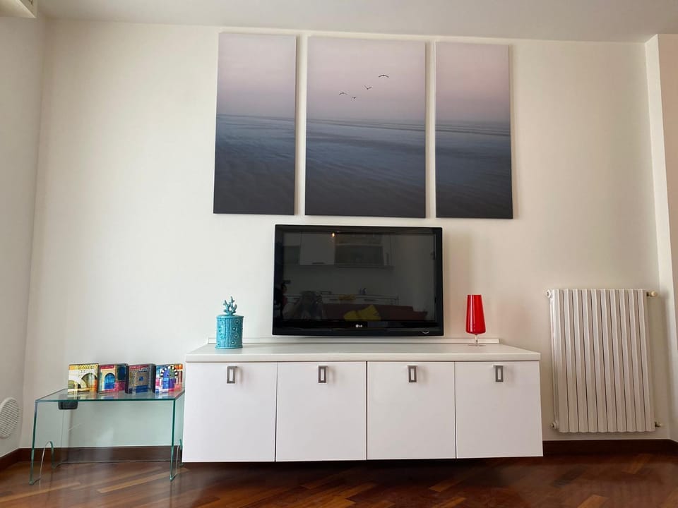 TV and multimedia, internet