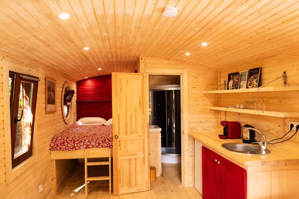 Bed, Bathroom, Coffee/tea facilities, Kitchen or kitchenette, Photo of the whole room, Bedroom, minibar