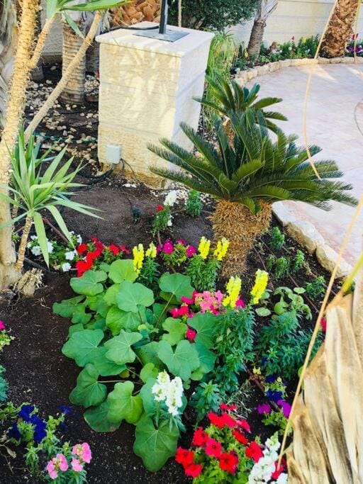 Great Garden Apartment-La Palmeraie Eilat Apartment in Eilat