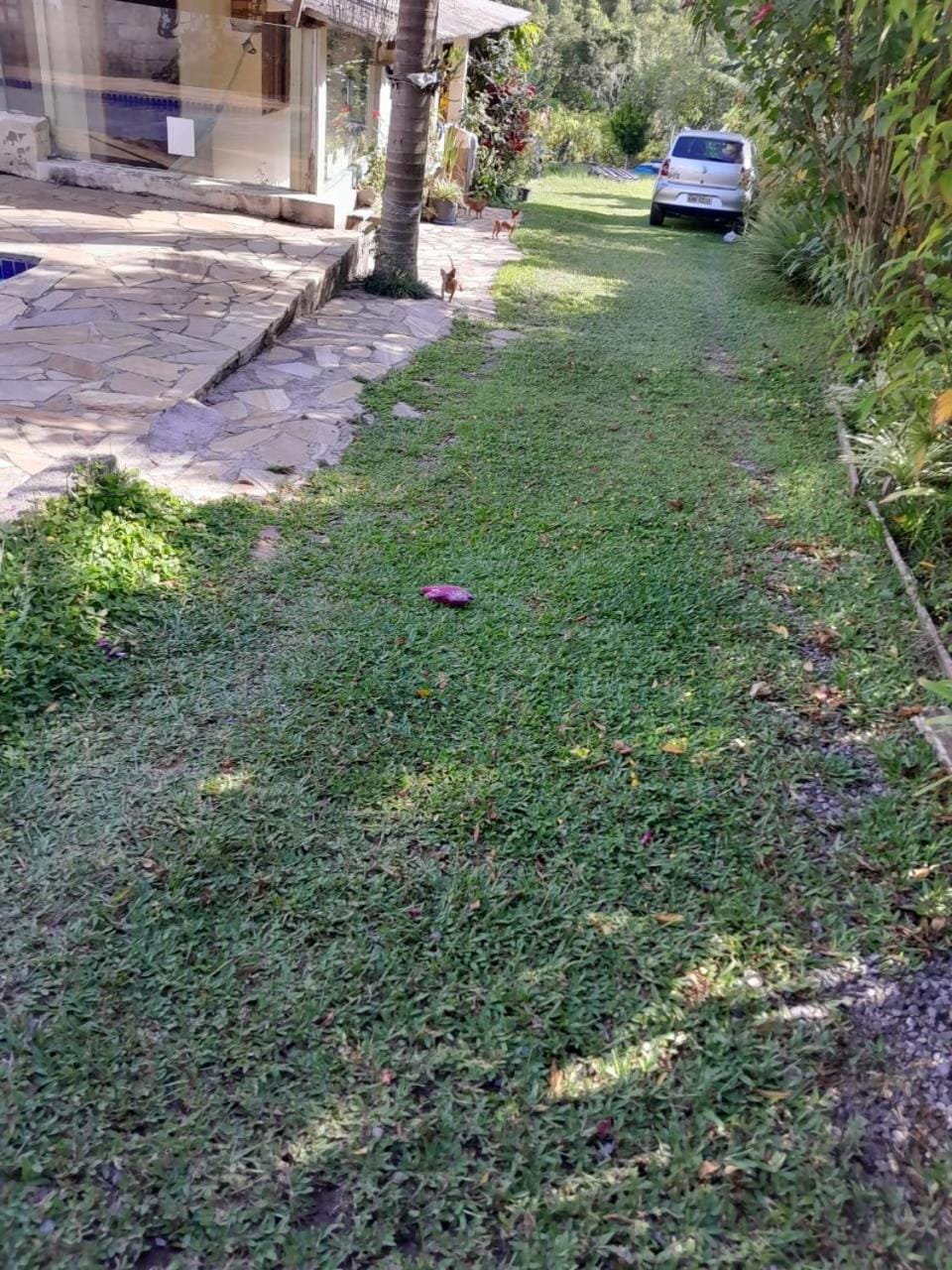 Spring, Day, Natural landscape, Garden, Garden, Garden view, Parking