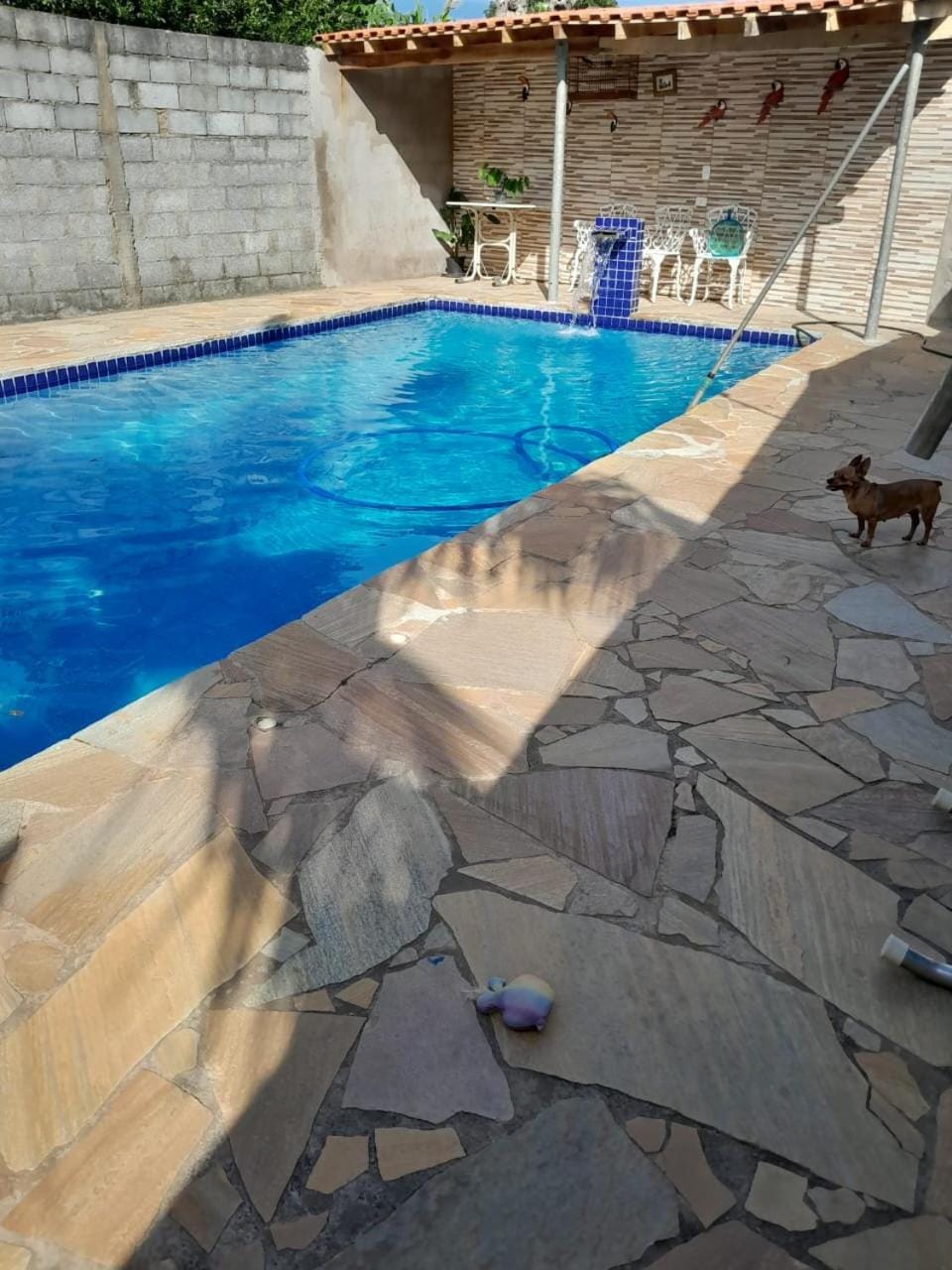 Patio, Day, Pool view, Swimming pool