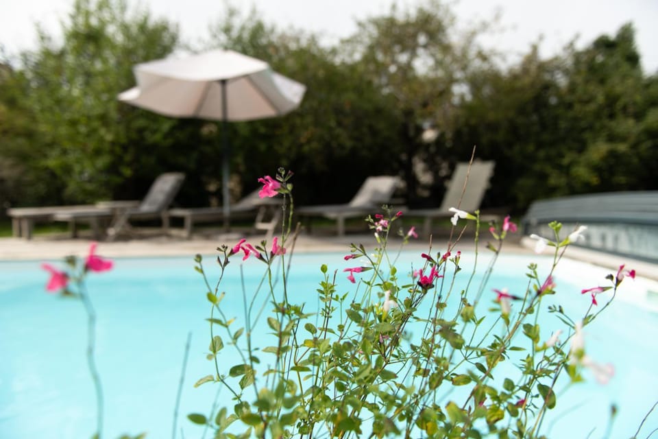 Garden, Garden view, Pool view, Swimming pool, sunbed
