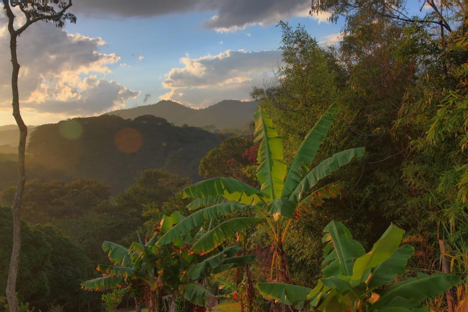 Natural landscape, Sunset