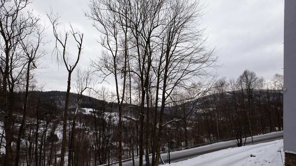 Winter, Mountain view